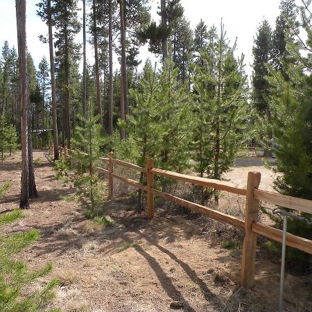 Cozy Cabin Lapine ลาปีน ภายนอก รูปภาพ
